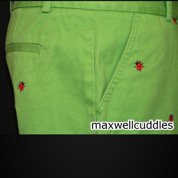J CREW LADYBUG CRITTER GREEN SHORTS SIZE 2 NWT - Picture 5 of 7